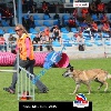 IMG_5448