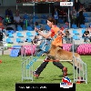 IMG_5484