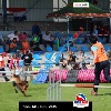 IMG_5518