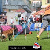 IMG_5559