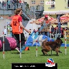 IMG_5587