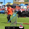 IMG_5681