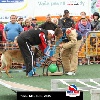 IMG_9840
