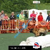 IMG_9995