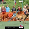 IMG_9996