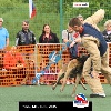 IMG_9997