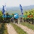 Vinarska_50 - Vinarska_50_2013