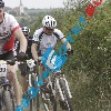 _MG_0595