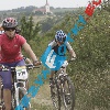 _MG_0597