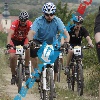 _MG_0654