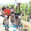 IMG_7590