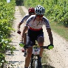 IMG_0739