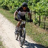 IMG_0743