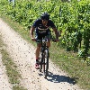 IMG_0746