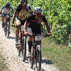 IMG_0795
