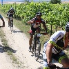 IMG_0821