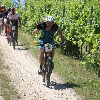 IMG_0880
