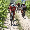 IMG_0882