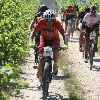 IMG_0884