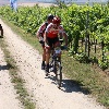 IMG_0918