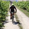 IMG_0920