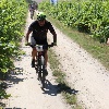 IMG_0921