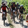 IMG_0938