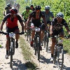 IMG_0939