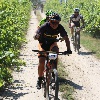 IMG_0952