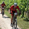 IMG_0961