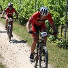 IMG_0962
