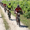 IMG_0964
