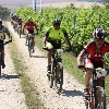 IMG_0965