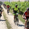 IMG_0966