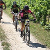 IMG_0972