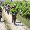 IMG_0986