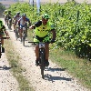 IMG_0987