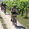 IMG_1027