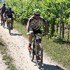 IMG_1028