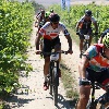 IMG_1031