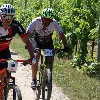 IMG_1070