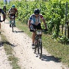 IMG_1077