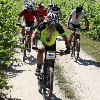 IMG_1086