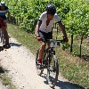 IMG_1090