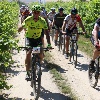 IMG_1095