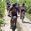 IMG_1151