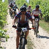 IMG_1152
