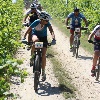 IMG_1155