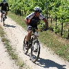 IMG_1167