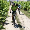 IMG_1177